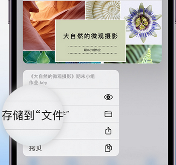 石鼓apple维修中心分享iPhone文件应用中存储和找到下载文件