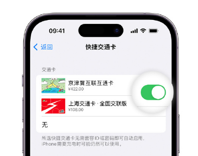 石鼓apple维修点分享iPhone上更换Apple Pay快捷交通卡手绘卡面 