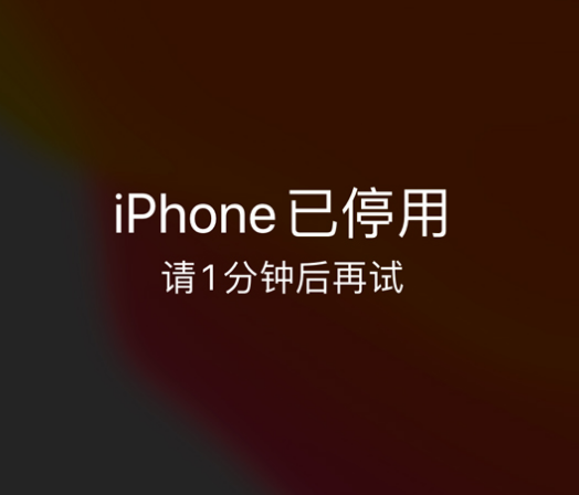 石鼓苹果手机维修分享:iPhone 显示“不可用”或“已停用”怎么办？还能保留数据吗？ 