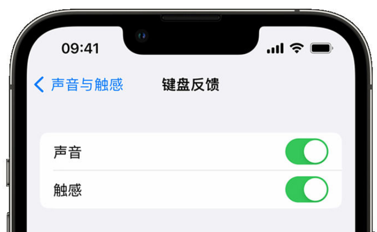 石鼓苹果手机维修分享iPhone 14触感键盘使用方法 