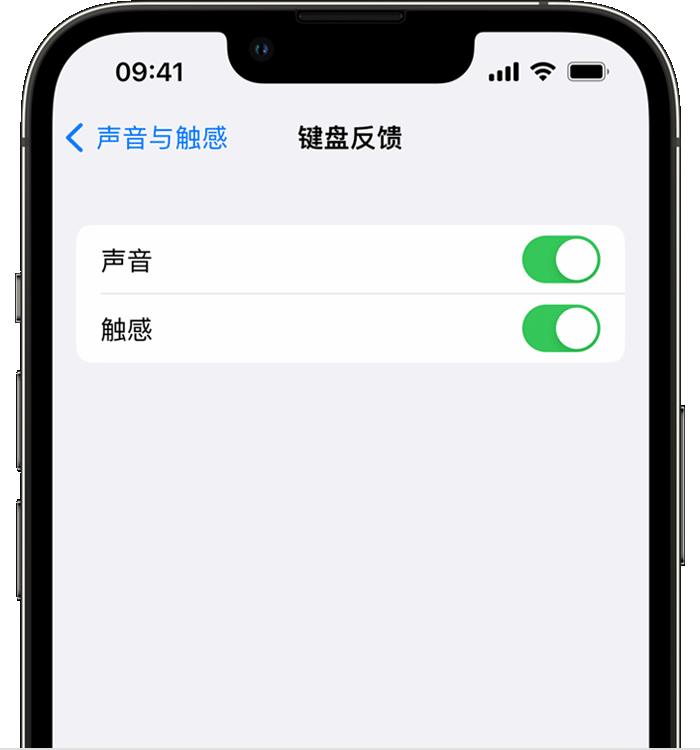 石鼓苹果14维修店分享如何在 iPhone 14 机型中使用触感键盘 