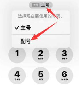 石鼓苹果14维修店分享iPhone 14 Pro Max使用副卡打电话的方法 