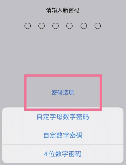 石鼓苹果14维修分享iPhone 14plus设置密码的方法 