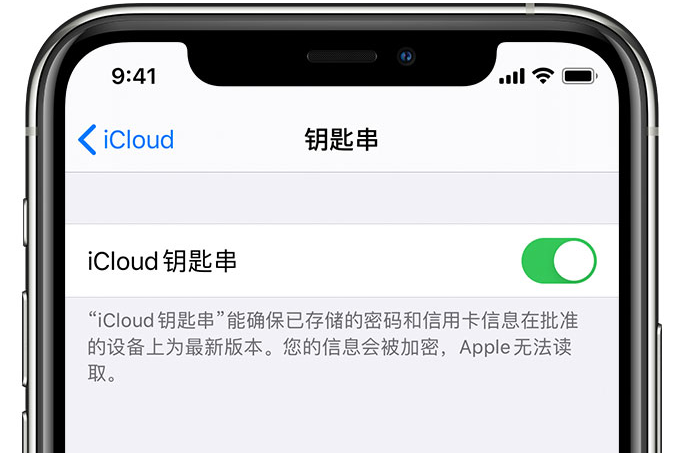 石鼓苹果手机维修分享在 iPhone 上开启 iCloud 钥匙串之后会储存哪些信息 